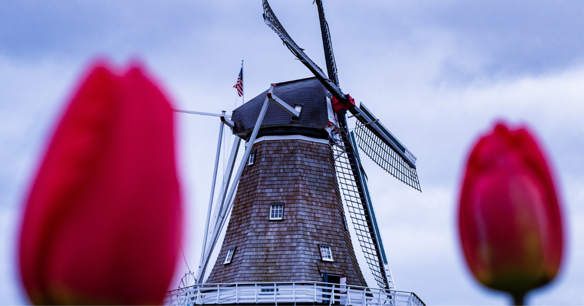 Holanda celebra la llegada de Sinterklaas