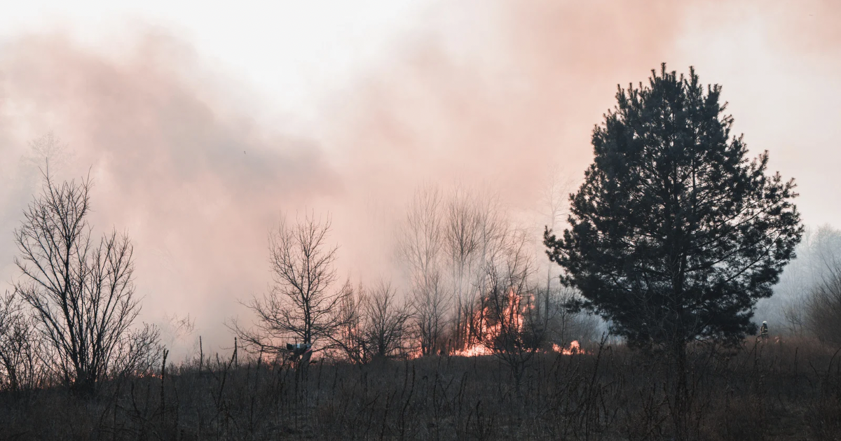 Países Bajos ayudará a España a enfrentar los estragos de los incendios forestales